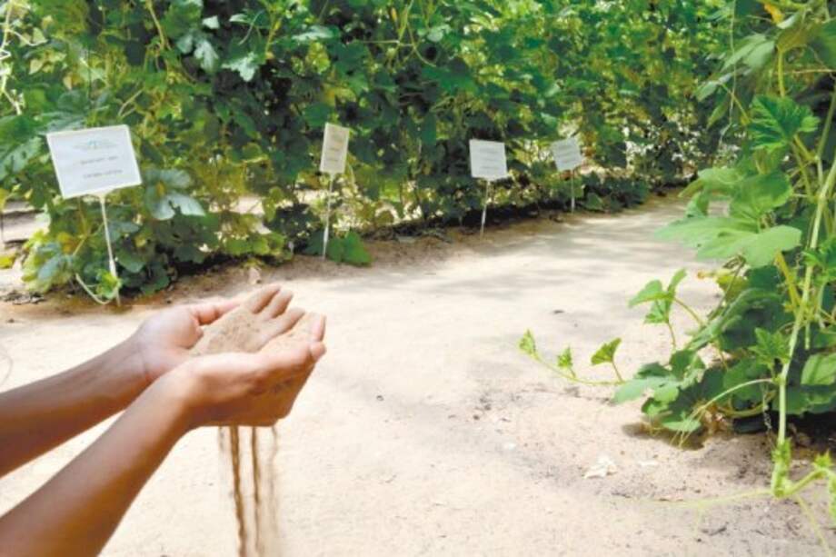 Santos lanza con el BID plataforma financiera para agricultura Latinoamérica