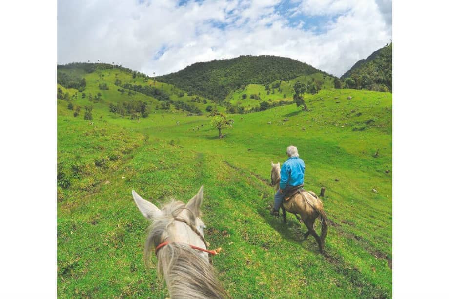 Alfredo Molano escribió 27 libros sobre el conflicto armado colombiano. Su obra rescata las voces de quienes han sido testigos de más de 50 años de guerra en el país.