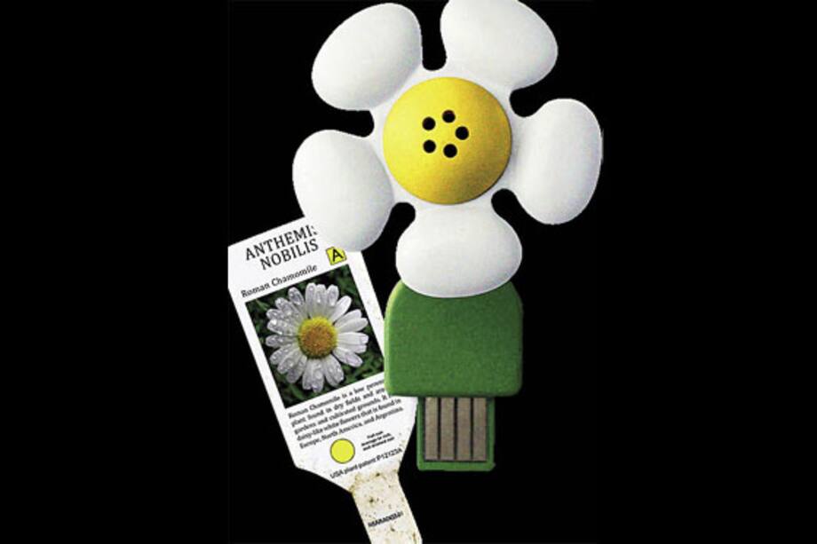 Fragancias florales en USB