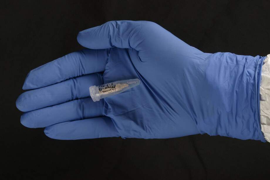 Muestra de dos gramos de hueso utilizada para estudiar el ADN heidelbergensis / Javier Trueba / Madrid Scientific Films