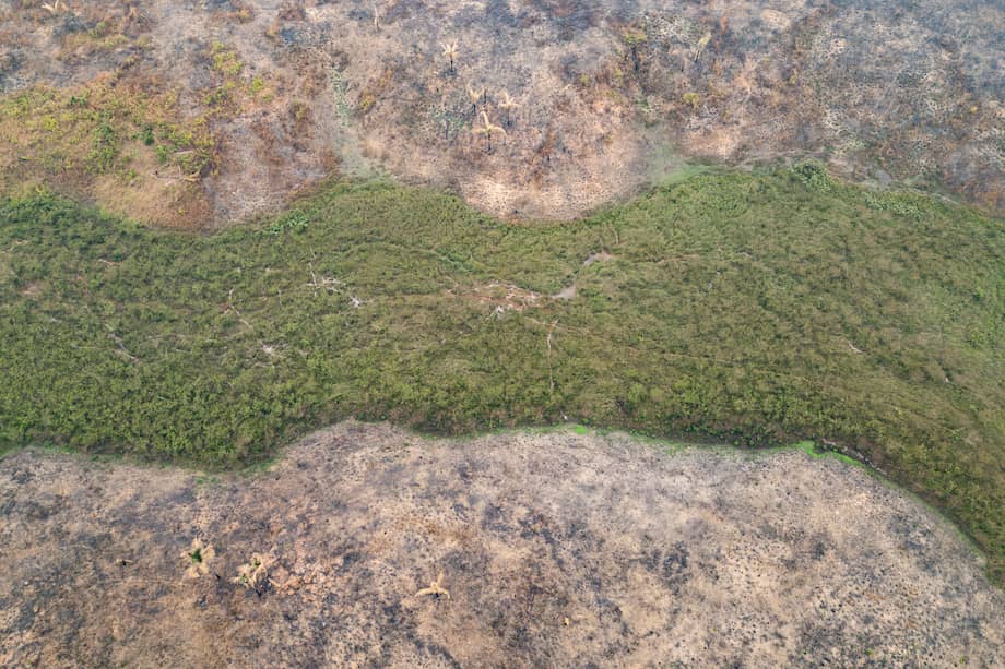 Porto Velho con casi medio millón de personas, vive inmersa en una nube de humo causada por la ola de incendios que azota la Amazonía.