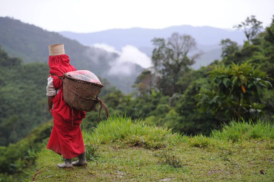 En la foto: indígenas del resguardo jaidukama. / Mauricio Alvarado - El Espectador