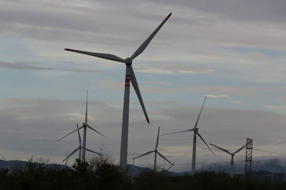El producto de la emisión de bonos verdes es para invertir en proyectos de sostenimiento con el medio ambiente. / Bloomberg News