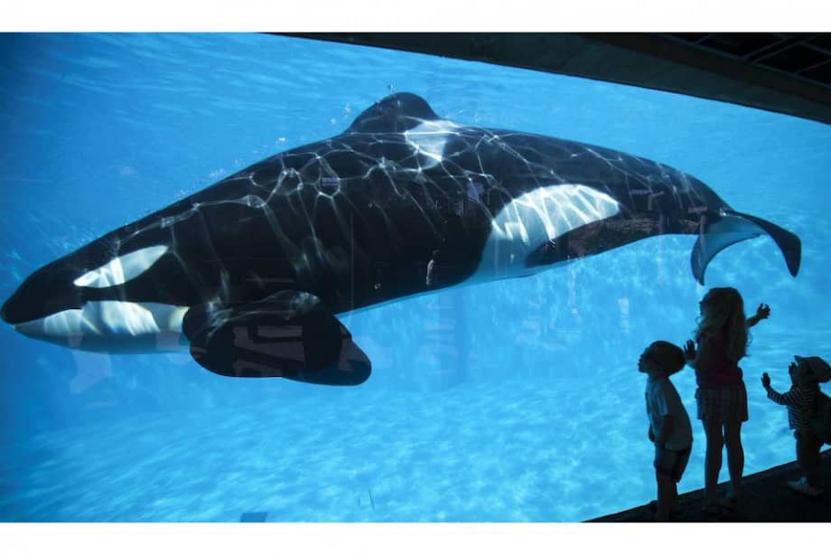 Tomada de theodysseyonline.com / Tomada de theodysseyonline.com