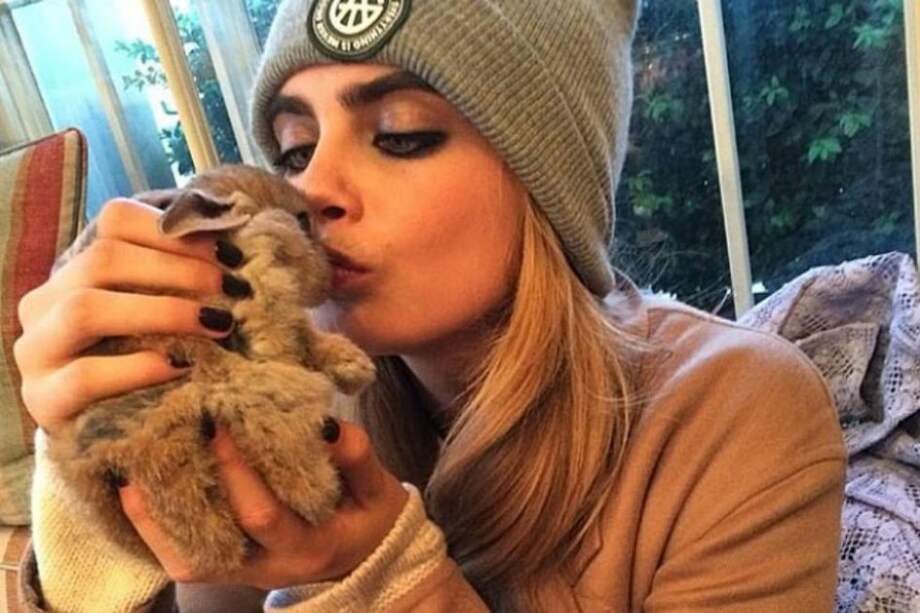 La modelo que contrató una niñera para su conejo