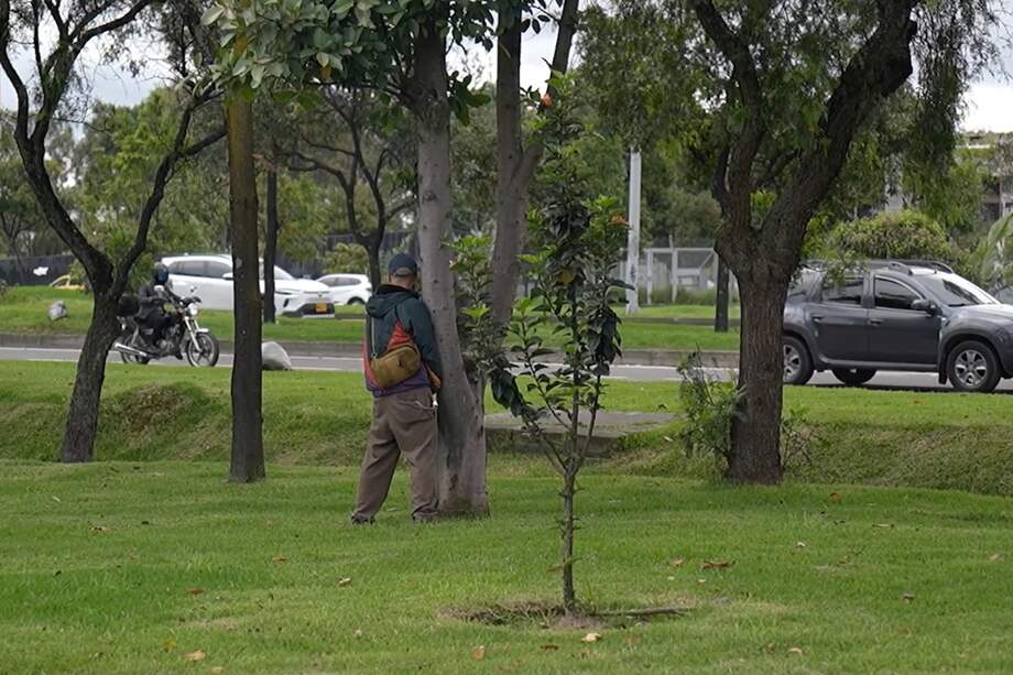 Un sujeto fue captado in fraganti orinando en el espacio público