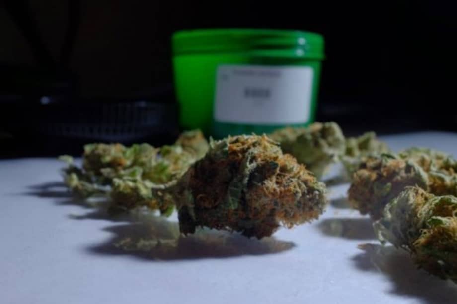 Paraguay, mayor productor de marihuana de la región, debate su uso medicinal