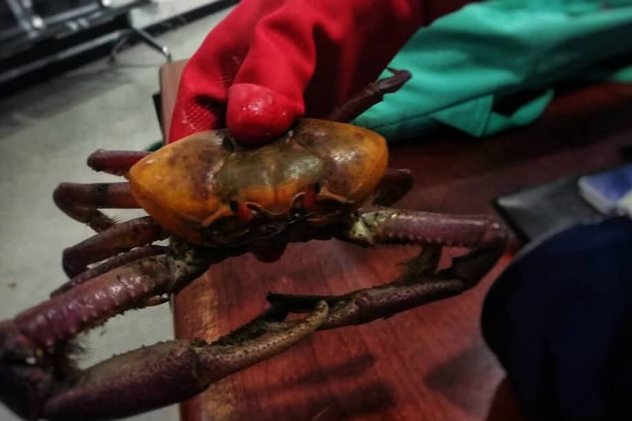 Secretaría de Ambiente