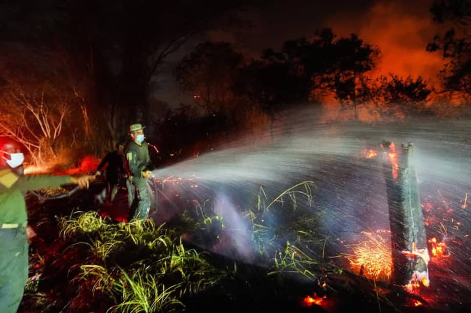 Fotografía tomada de la cuenta de Instagram @gobertolima de la Gobernación del Tolima que muestra a integrantes de la Policía de Colombia intentando apagar un incendio forestal en una zona rural entre los municipios de San Luis y Gualanday del departamento del Tolima. EFE/ @gobertolima.