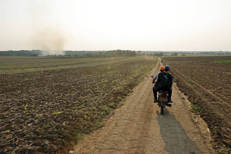 Fotografía de un cultivo perteneciente a la comunidad menonita el 16 de marzo de 2024 en Puerto Gaitán (Colombia). EFE/Mauricio Dueñas Castañeda.