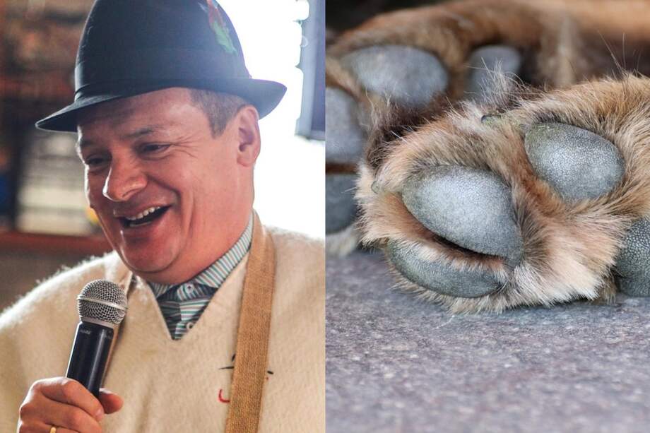 El maltrato animal es considerado como un delito en Colombia.