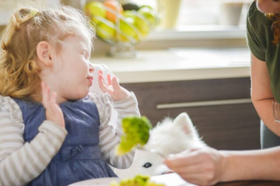 Con esta sencilla estrategia vas a hacer que las verduras sean la comida favorita de tus hijos. El paso a paso te encantará.