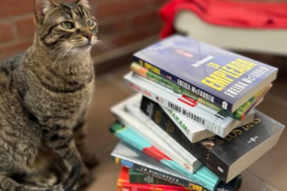 El origen de Libros y Huellas está profundamente ligado a una motivación personal. Tanto su creador como su esposa han sido, durante años, donantes recurrentes de fundaciones de animales en Colombia.