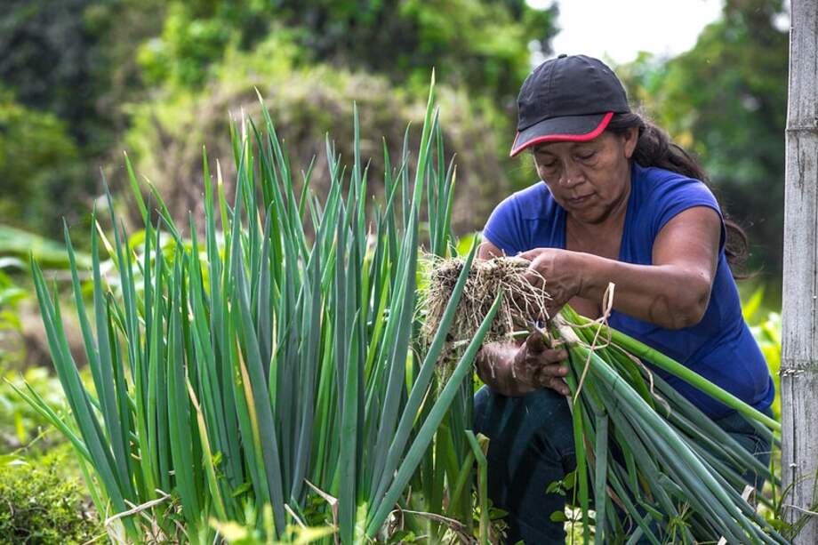 Mujeres rurales.