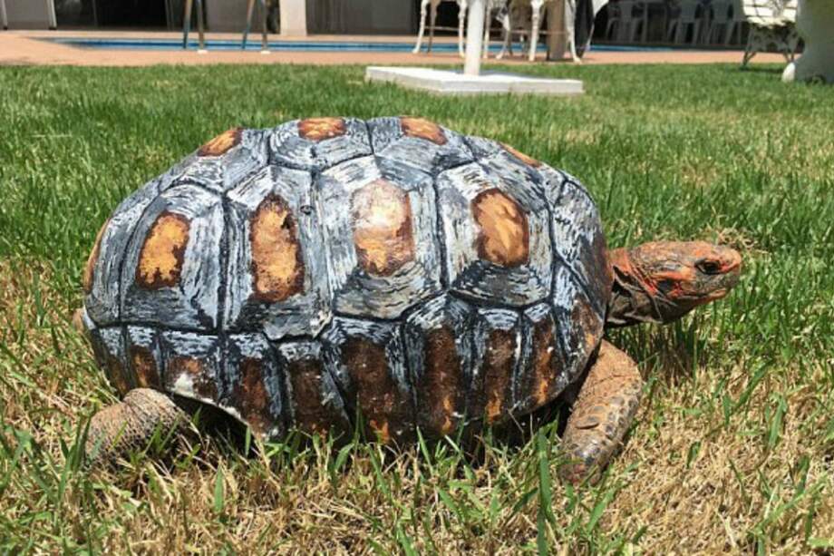 / Youtube: Inside Edition