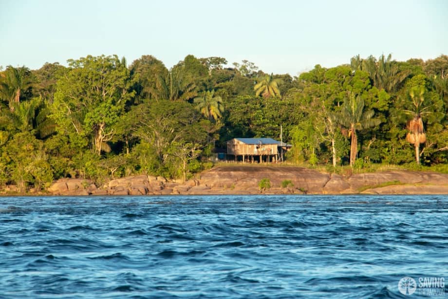 El Banco de Bogotá, líder del sector en sostenibilidad.
