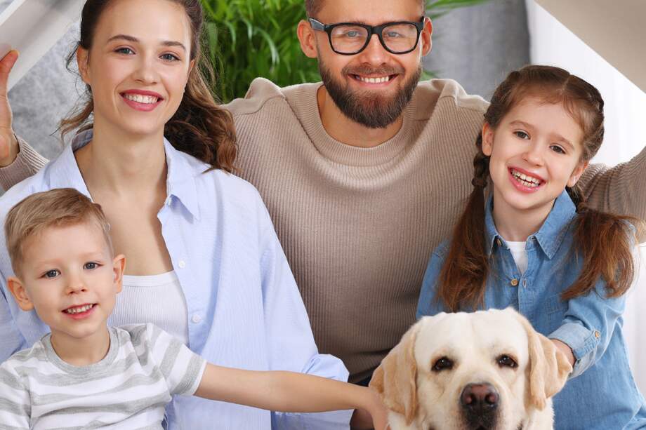 Mascotas bajo el mismo techo: la guía definitiva para la convivencia armónica en propiedad horizontal