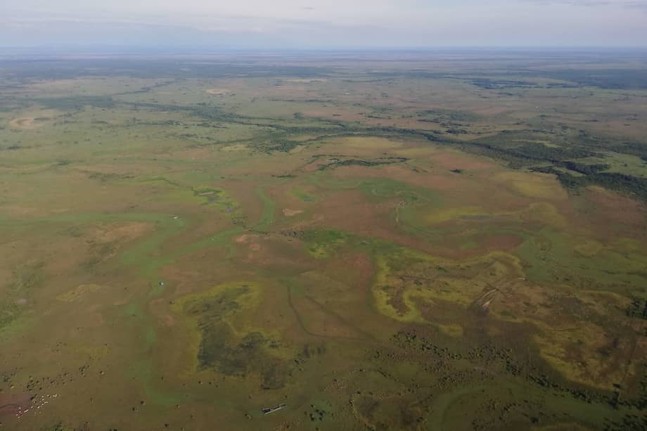 Mosaico de sabanas en Casanare.