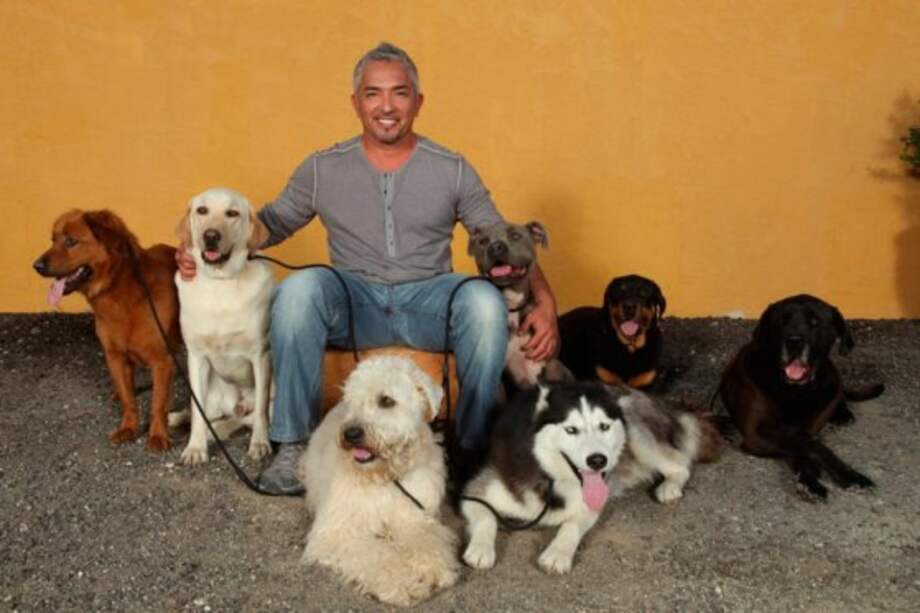 Por crueldad animal investigan en EE.UU. a César Millán, 'el encantador de perros'