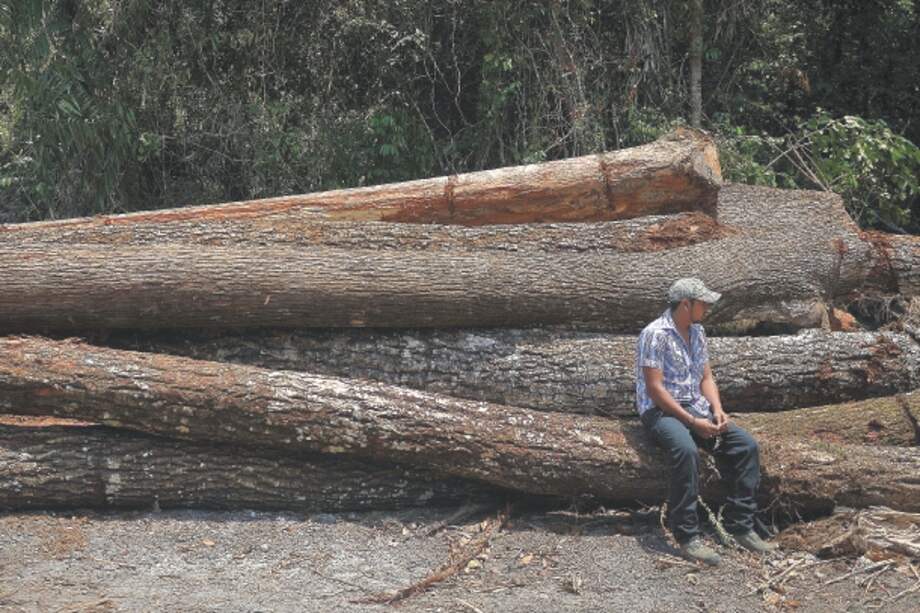 La Asociación de Comunidades Forestales de Petén es un ejemplo mundial de aprovechamiento sostenible de bosques. / Óscar Pérez