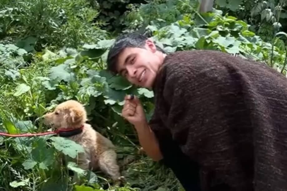 El perro permanecía asustado y desconfiado de las personas cuando fue encontrado por Julián Pinilla.