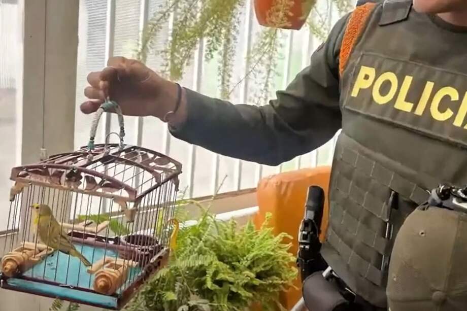 Delito de aprovechamiento ilícito de recursos naturales renovables y no renovables.