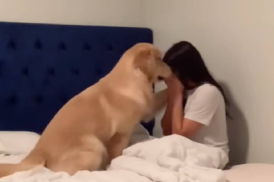 La escena, breve, pero poderosa, ha generado una oleada de emociones en redes sociales.