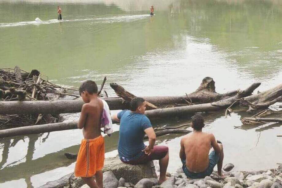 En el último siglo, la disminución de captura de peces ha sido del 15 % al 35 % según un estudio liderado por la Universidad Rutgers, publicado en Science. / Luis Benavides - El Espectador