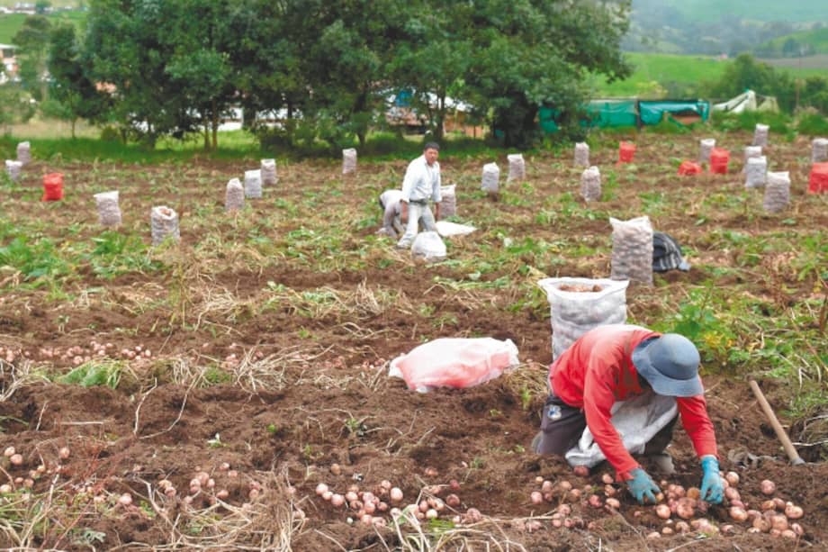Foto de referencia. / AFP / Raul Arboleda