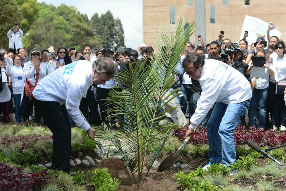El presidente Juan Manuel Santos y el alcalde de Bogotá, Gustavo Petro, sembraron una palmera en el Centro de Memoria, Paz y Reconciliación. / Presidencia