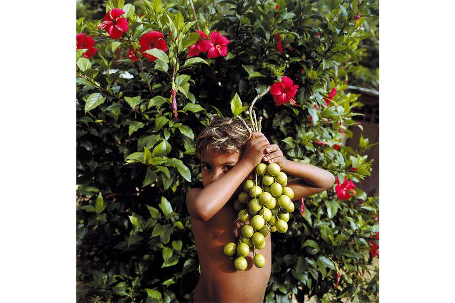 Fotocolumna: Venezuela florece, incluso en sequía