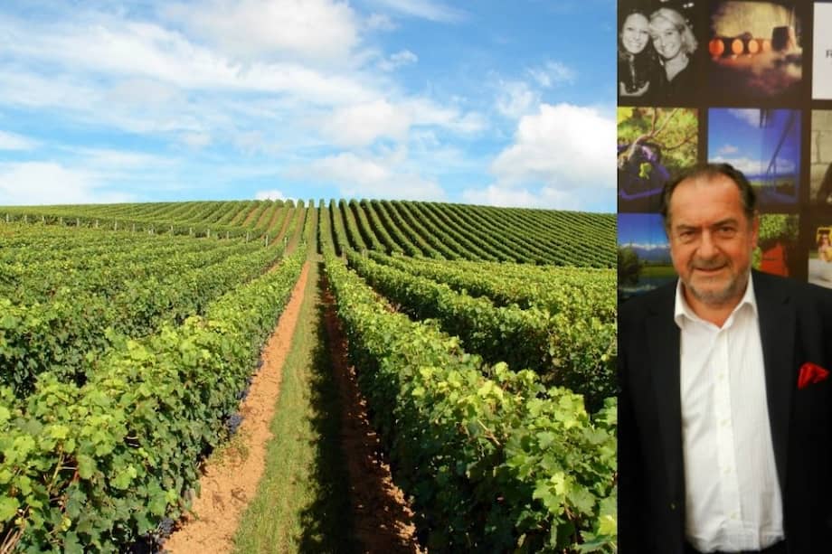 El enólogo francés Michel Rolland. /Juan Carlos Rincón.