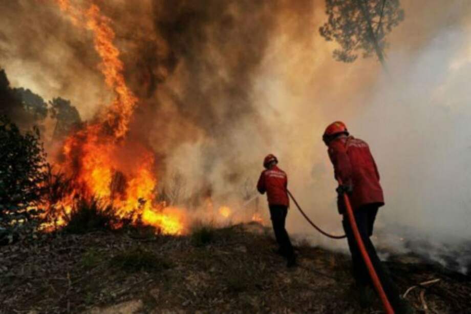 Incendio forestal ha consumido más de 600 hectáreas en Mulaló, Valle del Cauca