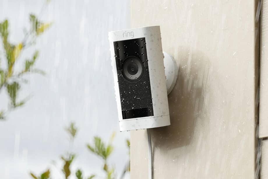 Las cámaras Ring exteriores pueden detectar perros similares a los reportados como perdidos y alertar a los vecinos.