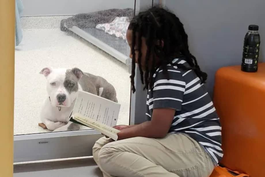 Desde 2024, Nehemiah participa en el programa Pawsitive Reading, en el que les lee en voz alta a perros y gatos que esperan ser adoptados.