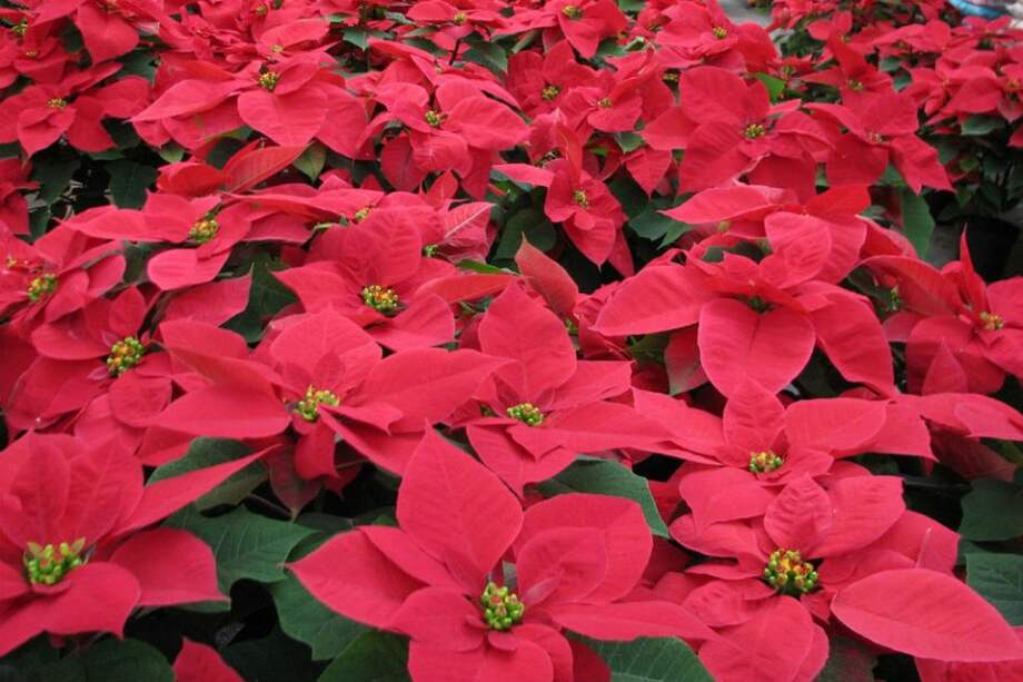 Flickr / Christophe Morisset