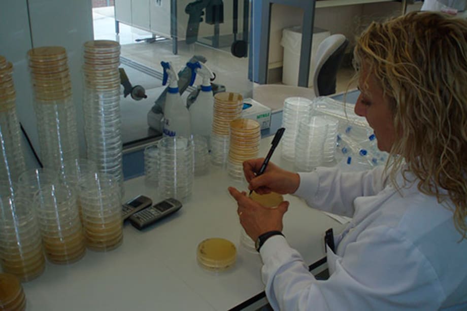 Las células madre de la menstruación pueden prevenir la muerte