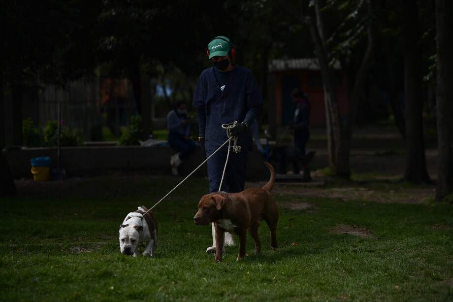 Imagen de referencia. Los casos se han presentado desde abril en el barrio Jardín de Cimarronas, en el municipio de Rionegro.