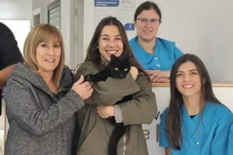 Oreo es un gato negro que logró volver a casa casi ocho años después de haber sido reportado como desaparecido.