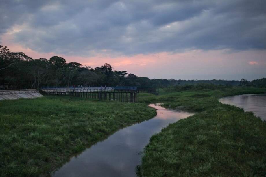 En el departamento del Guaviare se encuentran algunas de las rocas más antiguas del planeta. Con 1.300 millones de años y 800 metros de altura, estos ecosistemas albergan especies de flora y fauna que solo existen allí, en un mundo perdido, virgen y poco explorado: el Escudo Guayanés, en Guaviare.