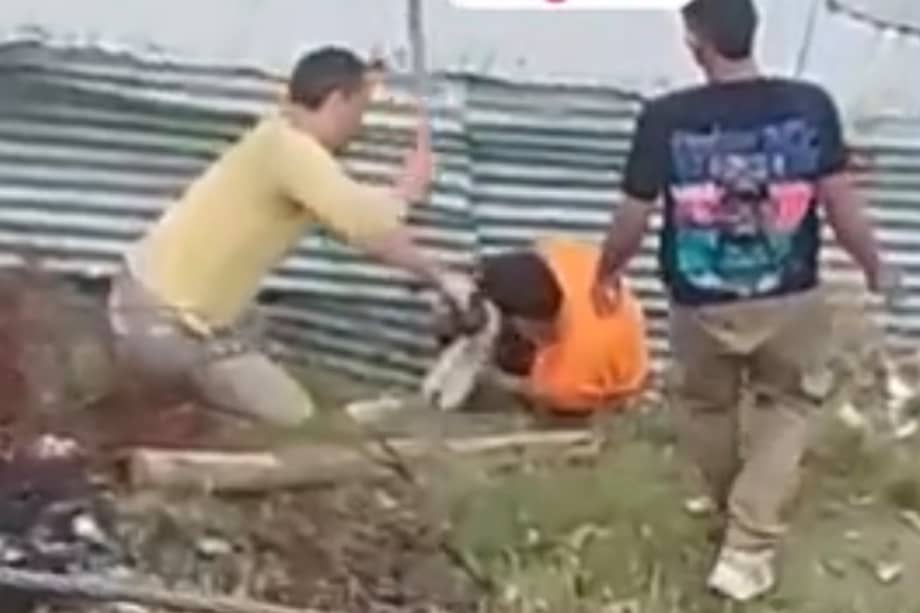 En paralelo a la atención médica, el Distrito activó la ruta judicial. El IDPYBA trabaja con la Fiscalía General de la Nación y el Grupo Especial para la Lucha contra el Maltrato Animal (GELMA) con el objetivo de identificar y judicializar a los responsables.