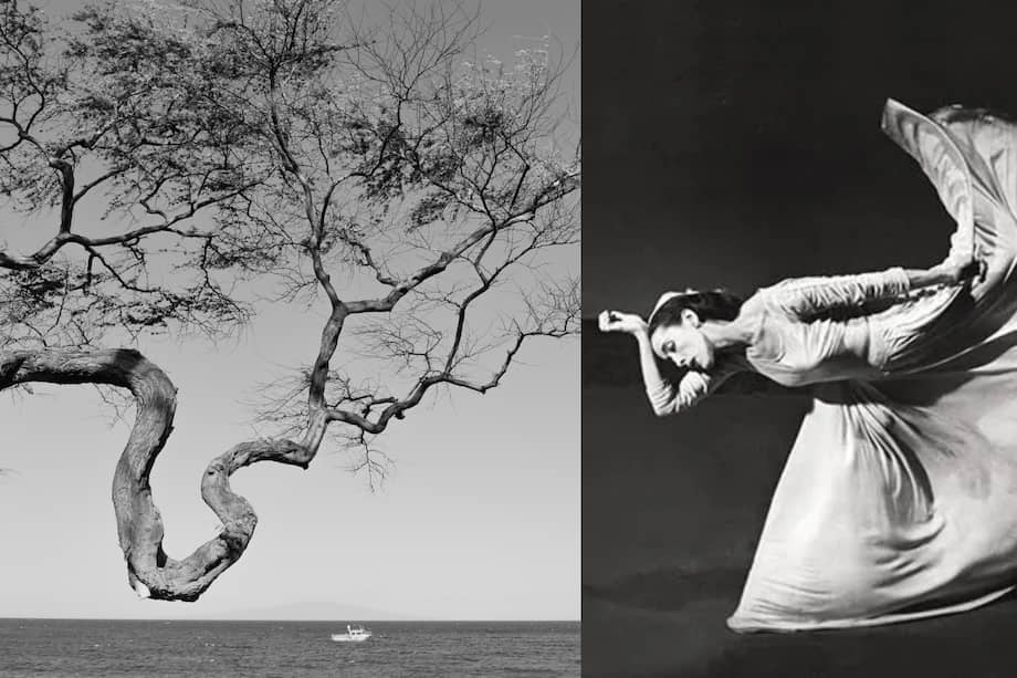 Collage con fotografía icónica de Martha Graham, tomada por Barbara Morgan en 1940.