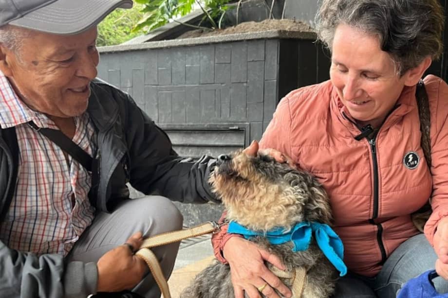 María Carmenza Muñoz se reencontró con su perro, Mechudo, tras tres meses de búsqueda durante una jornada de adopción organizada por la Alcaldía de Manizales.