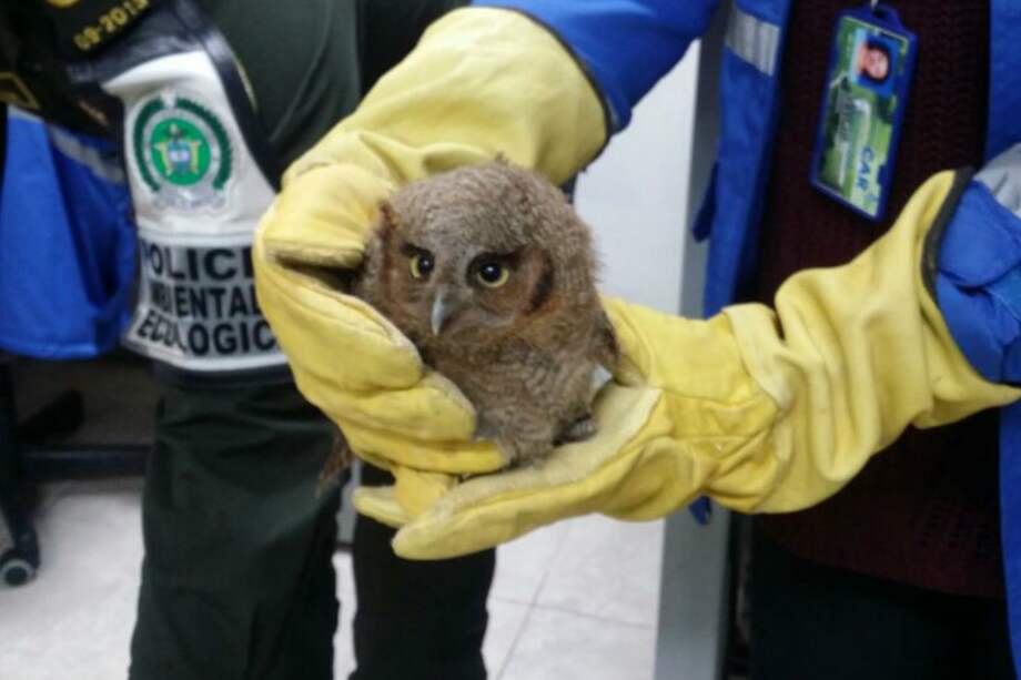 Corporación Autónoma de Cundinamarca