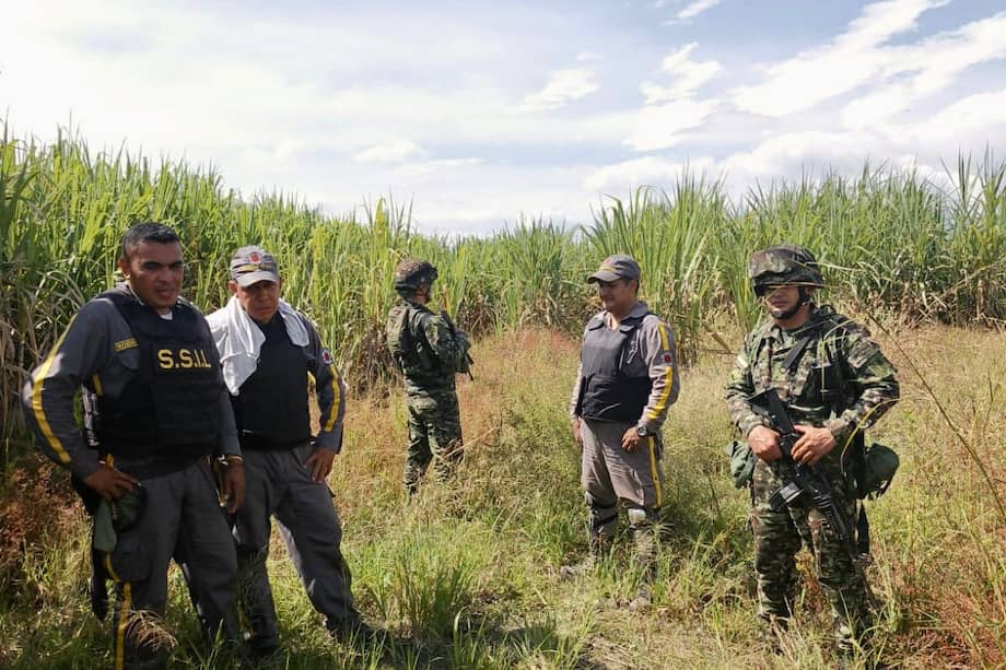Estos trabajadores de Asocañas, dicen las autoridades, huyeron hacia los cultivos de caña para evitar ser secuestrados.