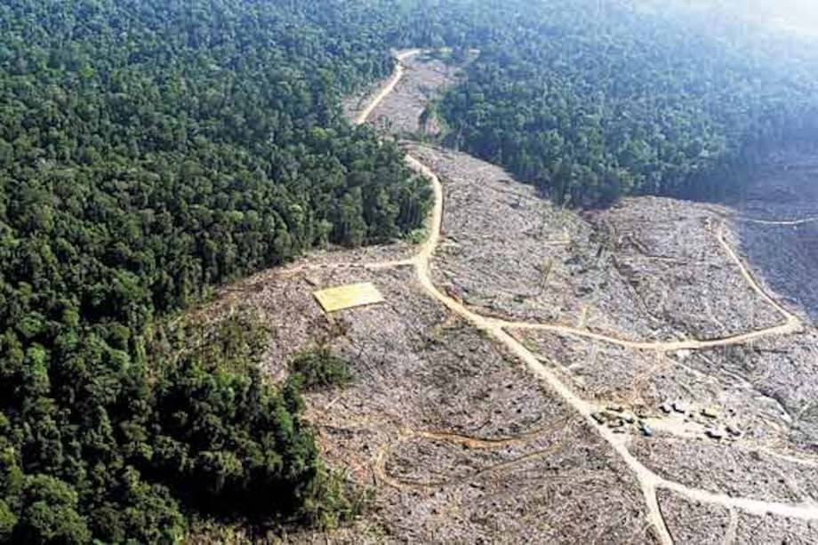 En julio de 2019 la deforestación en la Amazonía brasileña sobrepasó los 2.200 km2. / Archivo