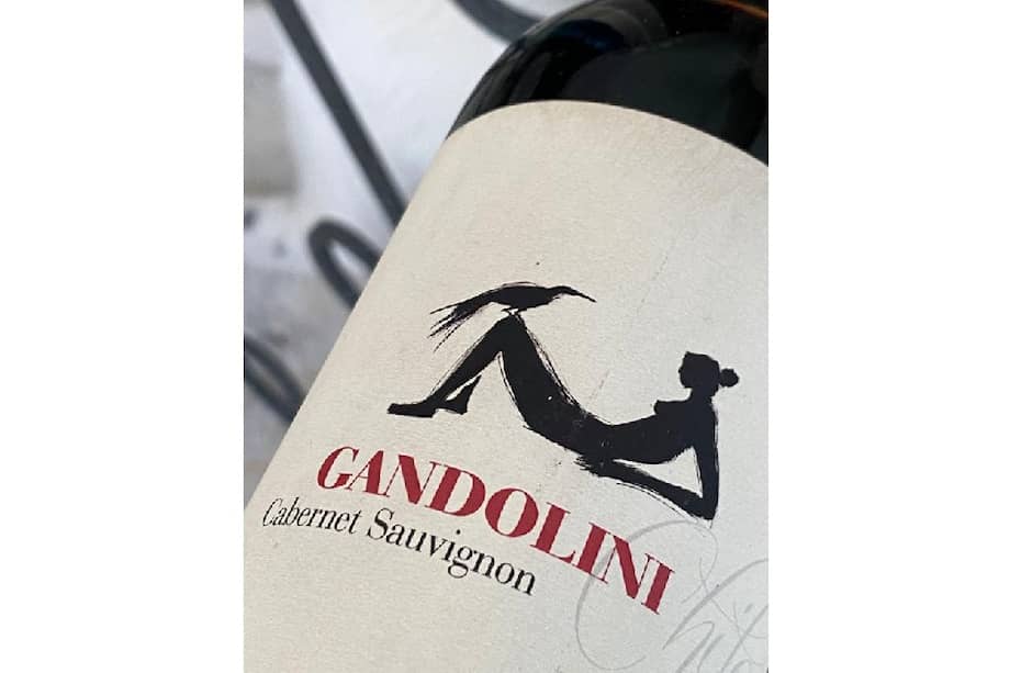 Además de Francia, los Cabernet Sauvignon de Australia, California, España, Italia, Argentina y Chile son dignos de tener en cuenta.