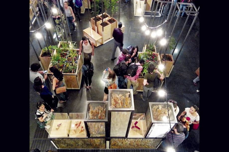 La exposición “Comer” fue inaugurada esta semana y estará abierta al público hasta octubre en Parque Explora de Medellín. / Óscar Pérez - El Espectador