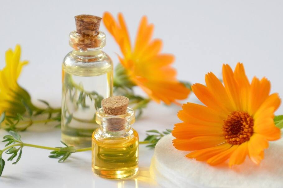 Te contamos cuáles son las propiedades y beneficios de la caléndula.