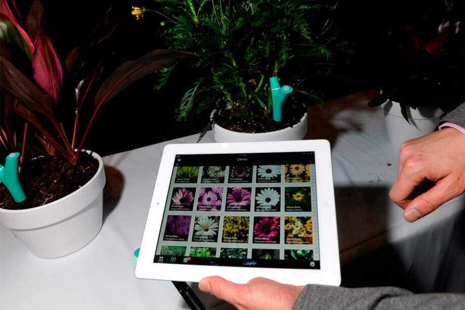 Móviles y tabletas se 'darán pantalla' en el CES 2013